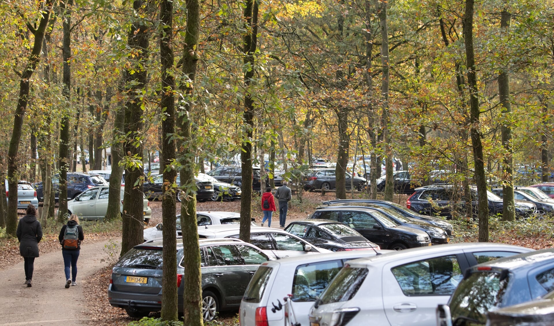 Parkeerplaatsen bij bossen Lage Vuursche (Baarn) waren eerde ook al propvol.
