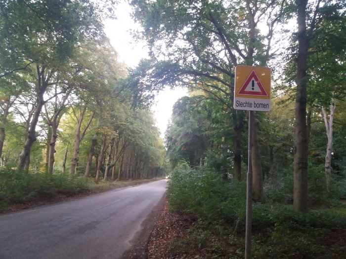 Bomen waar discussie over is in de Broekhuizerlaan