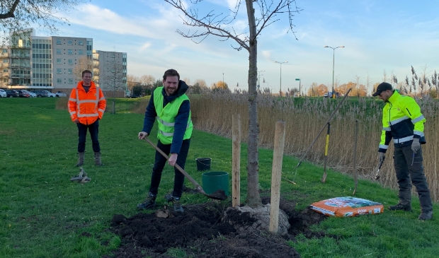 <p>Wethouder Bos helpt mee bij het aanplanten van bomen.</p>