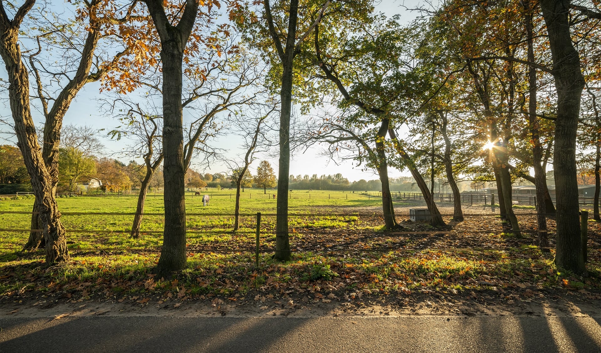 Het Veenhuizerveld, bekeken vanaf de Hunnenweg bij Voorthuizen.