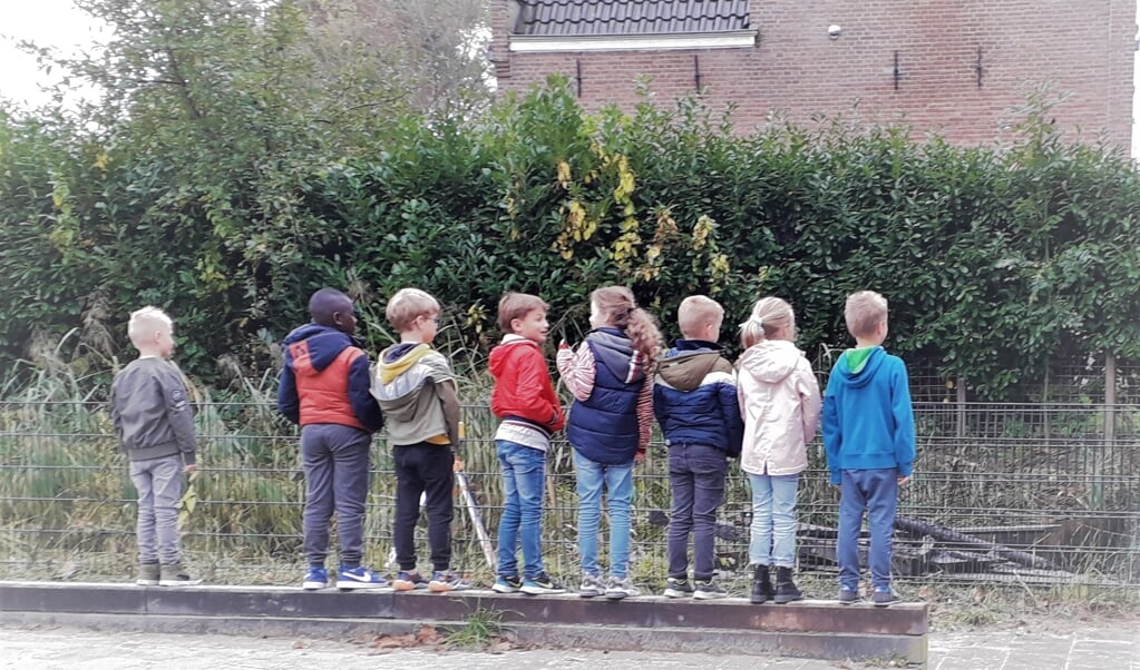 Kofschip rijtje groep 3 en 4.