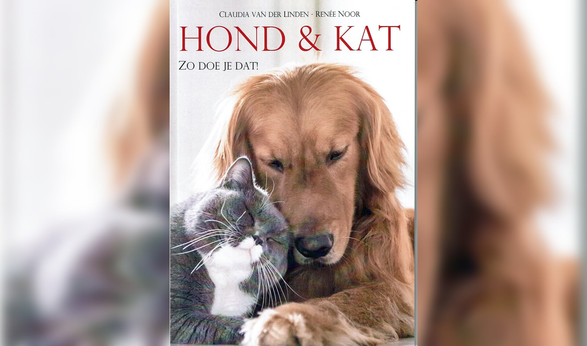 Cover van Hond & Kat, Zo doe je dat!