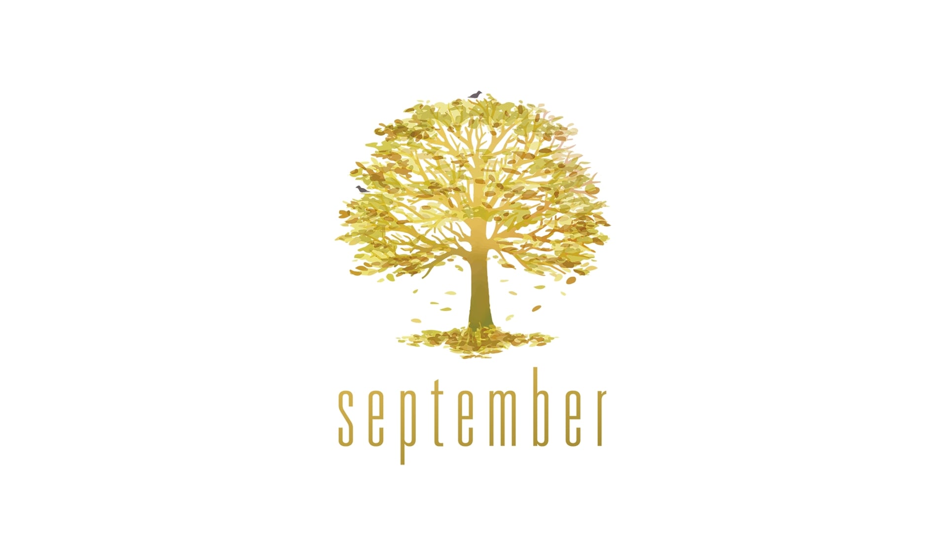 Logo Wonen bij September