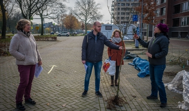 <p>Jelle en Lisa krijgen een appelboompje van de Steenbreekactie. foto Guy Ackermans</p>