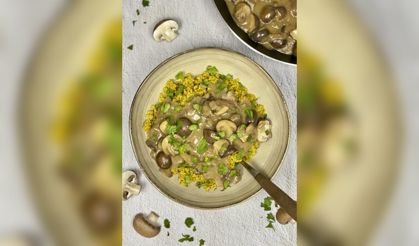 Grotchampignon stroganoff