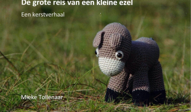 Omslag van boek De grote reis van een kleine ezel