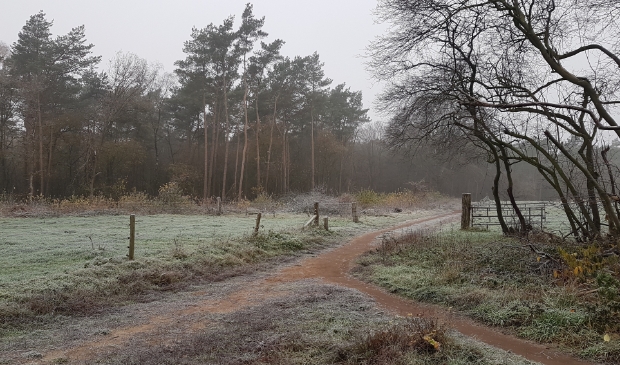 <p>Een tweesprong bij het Edese Bos.</p>