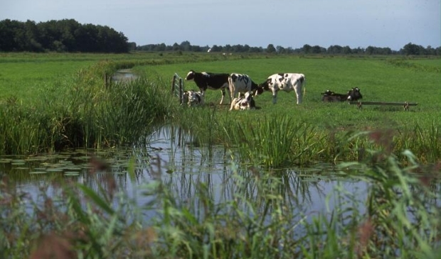 Zorg voor landschap