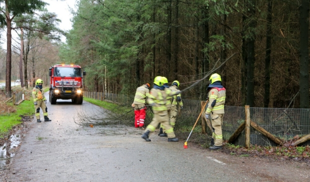 <p>Op de Apeldoornseweg viel een boom over een wildraster</p>