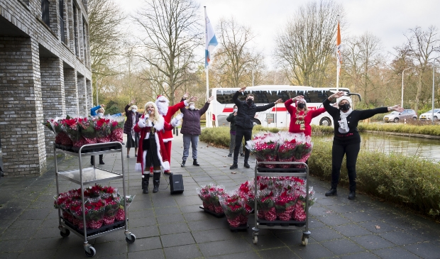 Kerststerren voor Parkzicht