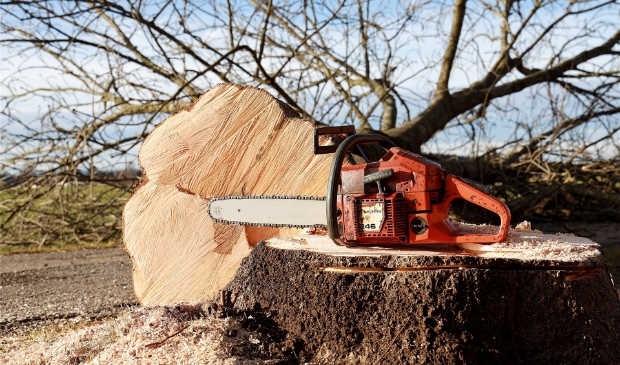 Er worden bomen gekapt op de Pelikaanweg