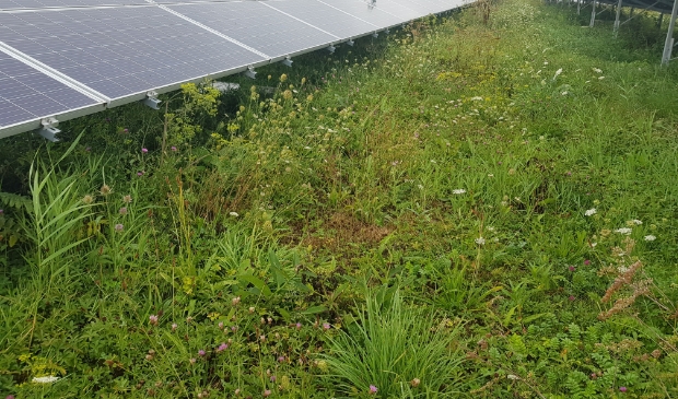 Vergunning voor Zonneveld Wijkerbroek West