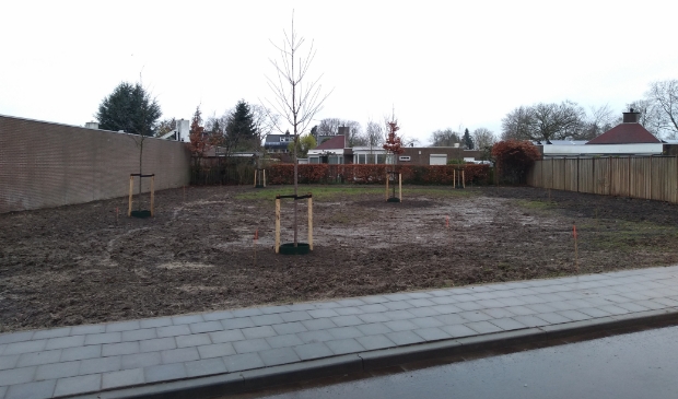 <p>Aan de Provincialeweg, achter de Hoefsmedenhof en Schrijnwerkershof, heeft de gemeente zieke essen gerooid en nieuwe bomen geplant.</p>