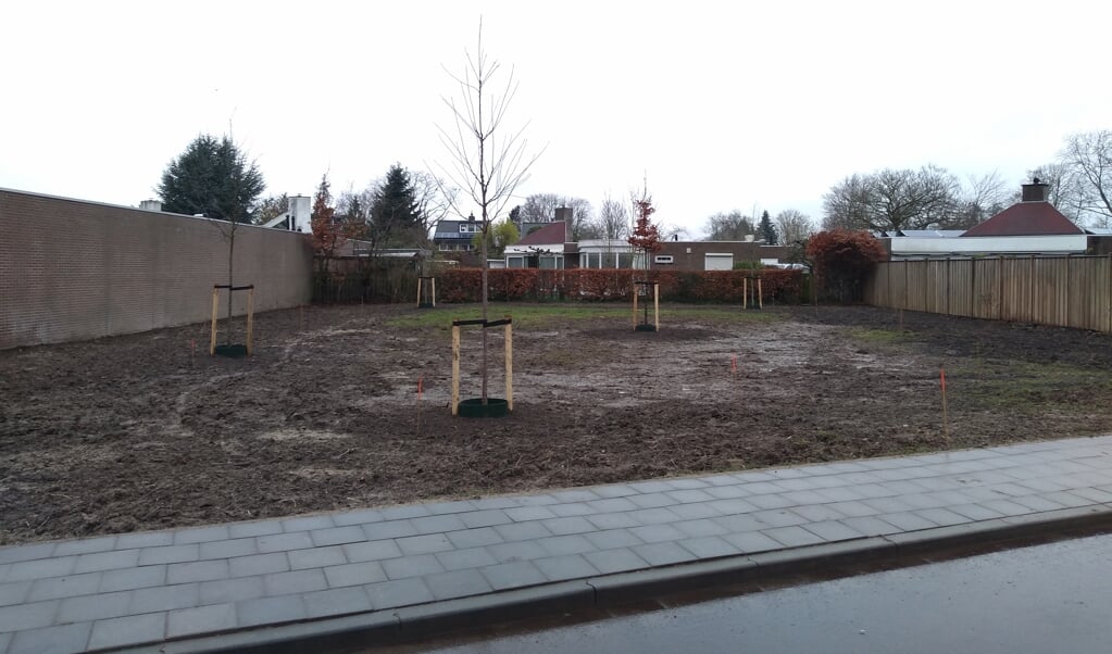 Aan de Provincialeweg, achter de Hoefsmedenhof en Schrijnwerkershof, heeft de gemeente zieke essen gerooid en nieuwe bomen geplant.
