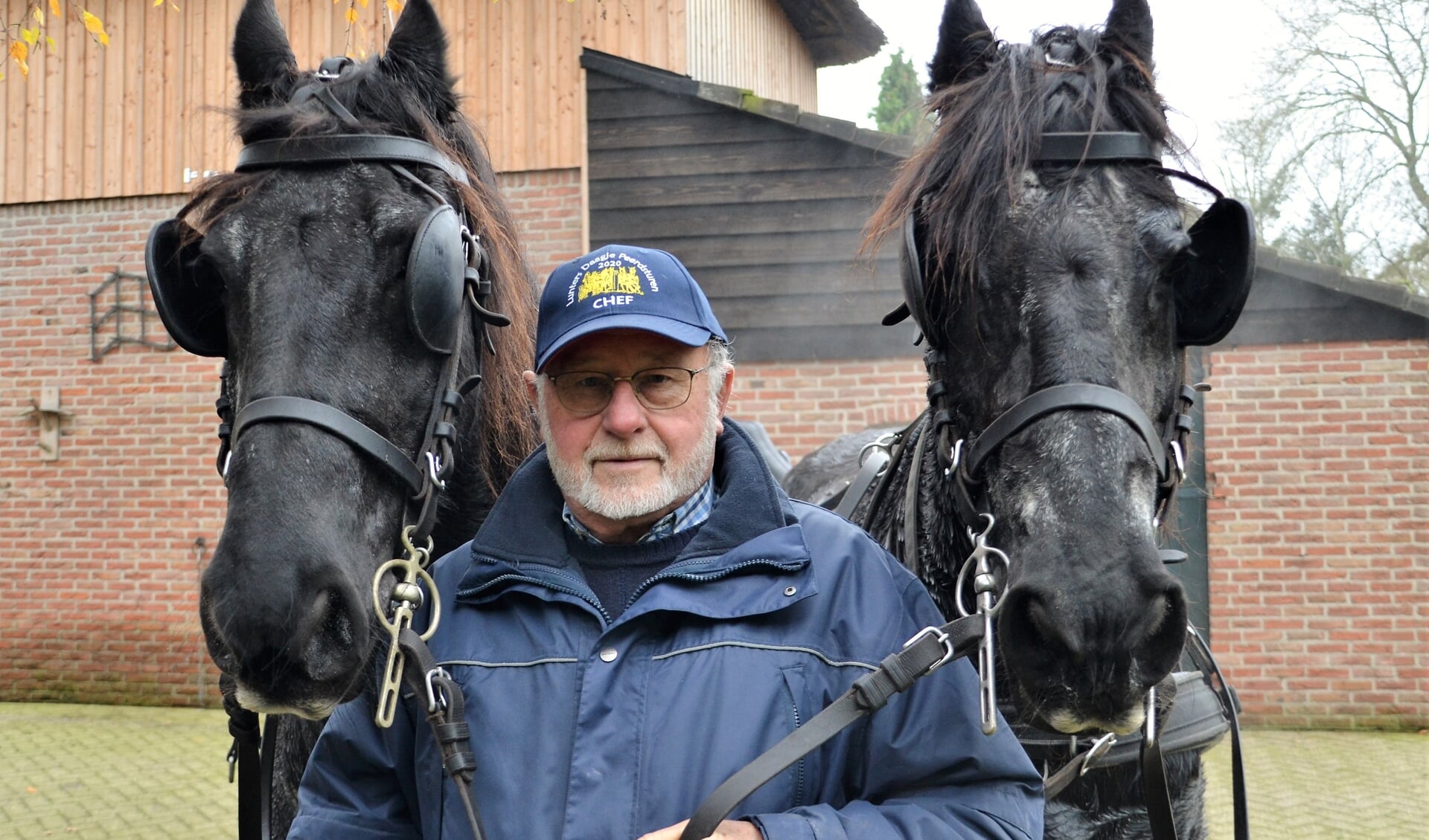 Iedere donderdag trekt Bloemert er met zijn Friese paarden op uit