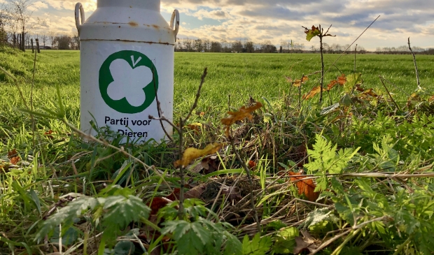 Melkbus in de natuur