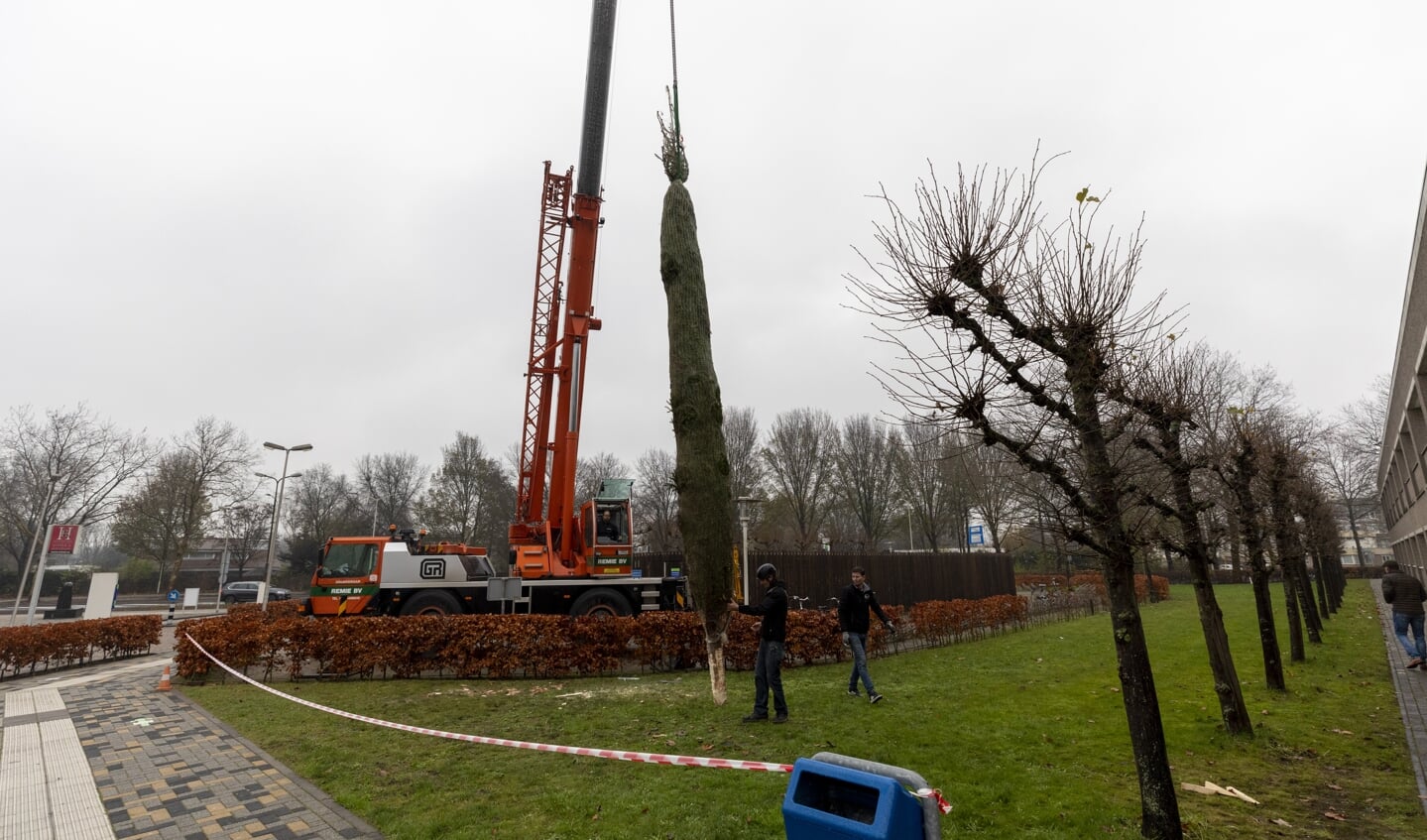 Maandagmorgen werd de tien meter hoge kerstboom geplaatst voor het Beatrixziekenhuis, in de middag ontstak burgemeester Reinie Melissant-Brienen het eerste lichtje