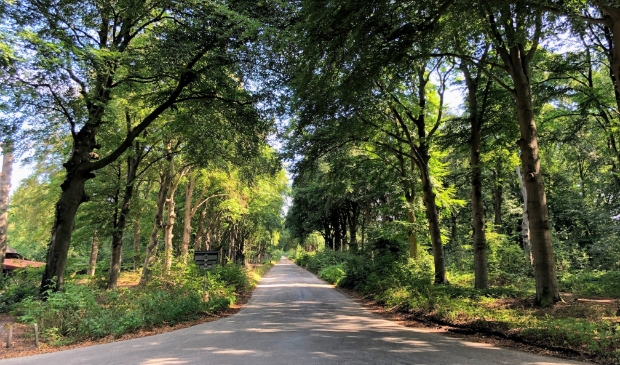 Broekhuizerlaan in Leersum