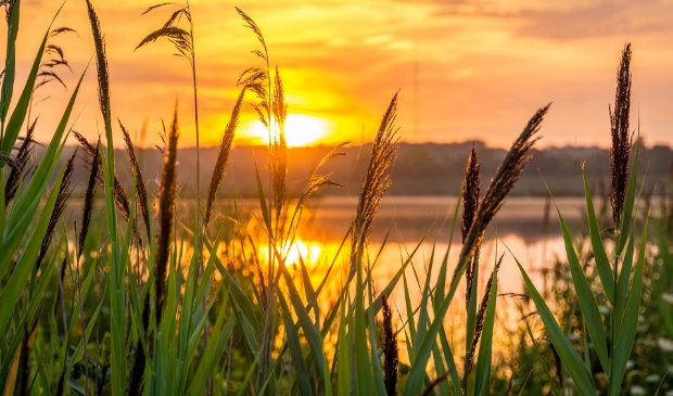 <p>Spaarnwoude Park: een rijk aan natuur, buitenleven en verhalen uit het verleden. </p>