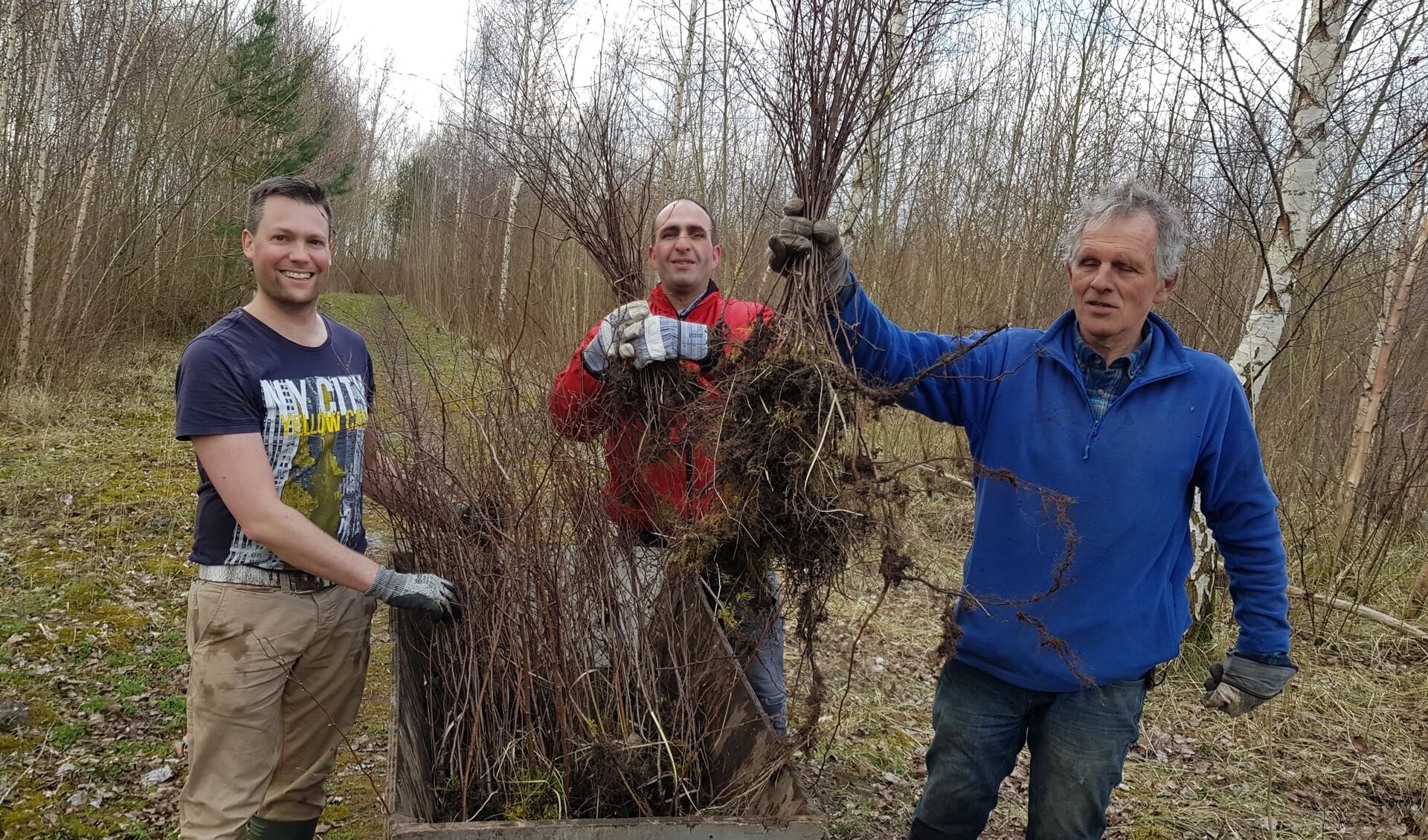 Initiator Franke van der Laan: "De boompjes komen vrij bij ecologisch beheer van bosgebieden in de winter. Dat is dus gratis en ook de vrijwilligers kosten niets." 