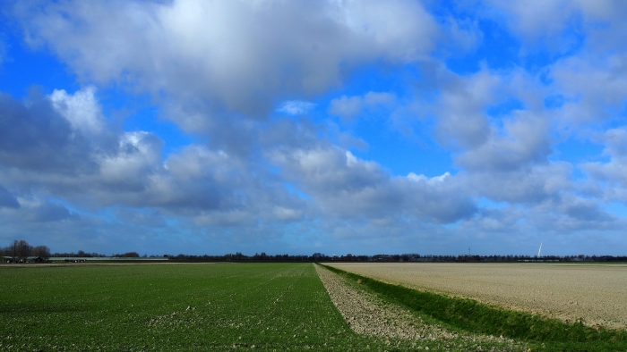 Groene akkers
