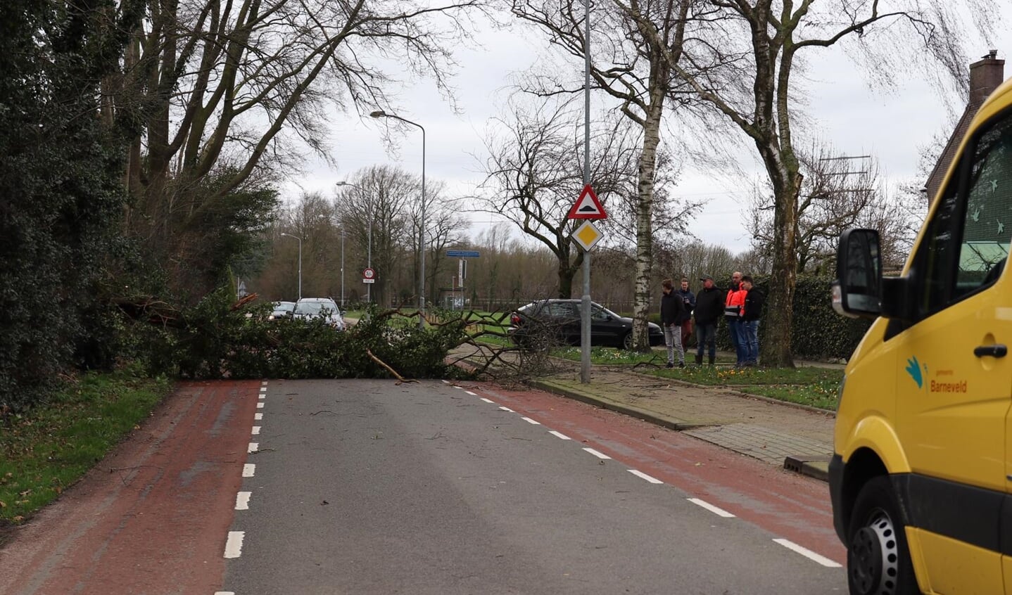 Een tak versperde de weg op de Kallenbroekerweg in Barneveld.