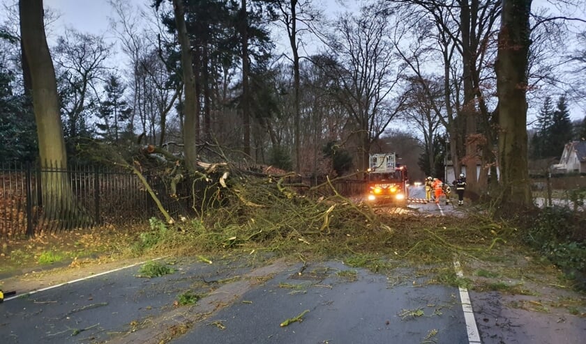 Een omgevallen boom blokkeerde lange tijd de Dorpsstraat in Doorn. 