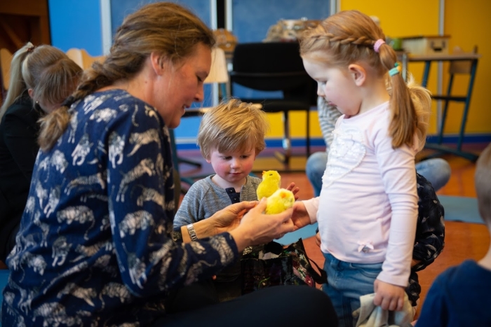 In de Muziek op Schootles zingen we liedjes over kuikentjes