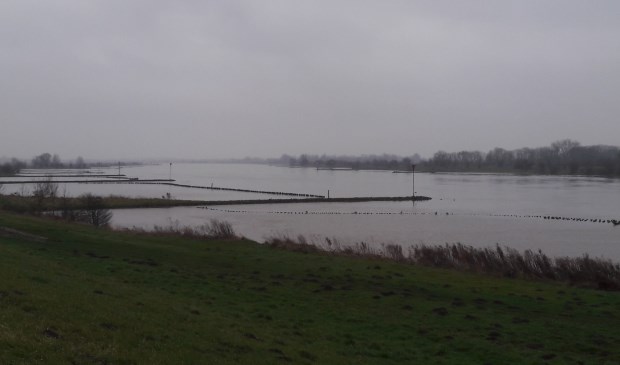 Hoog water afgelopen week in de Lek bij Schalkwijk