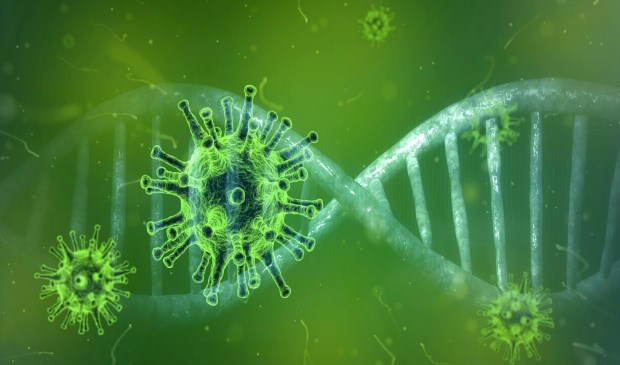 Het corona-virus.