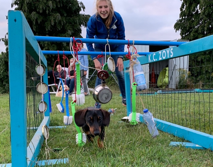 Puppycursus bij KC Zoys