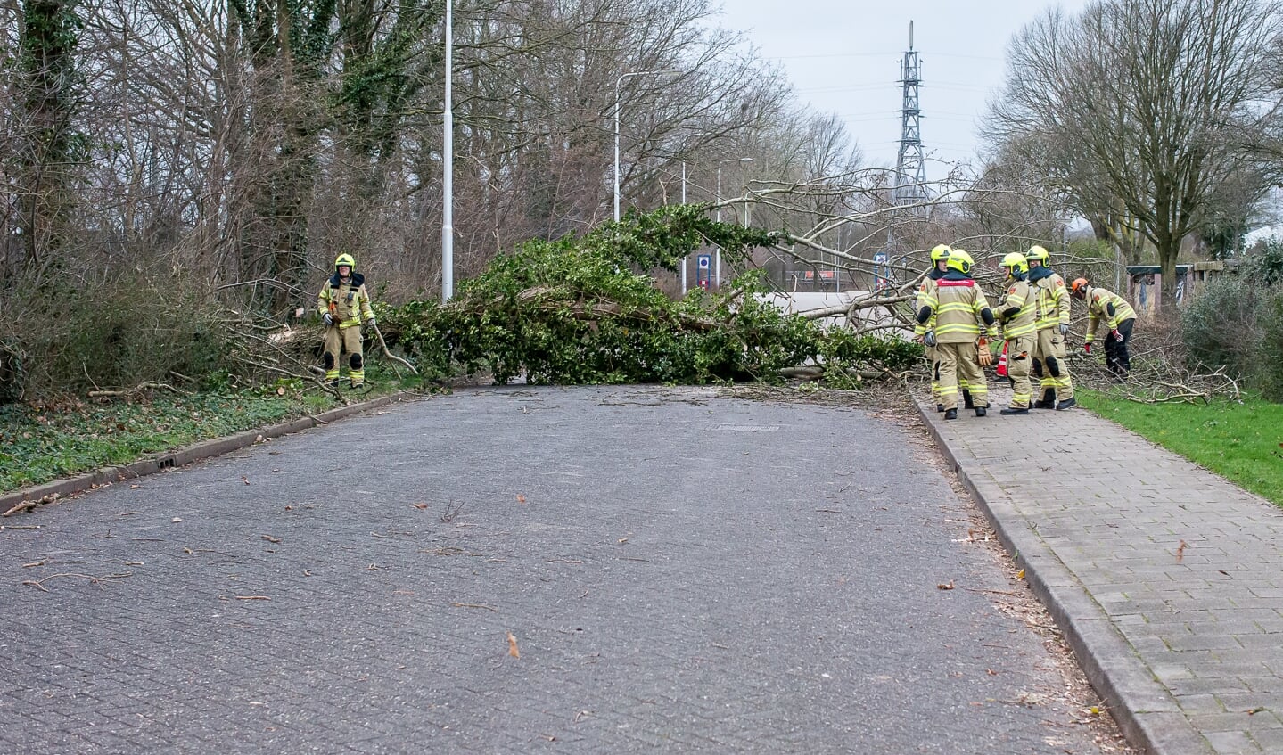 Een boom viel over de weg op de Noorder Parallelweg