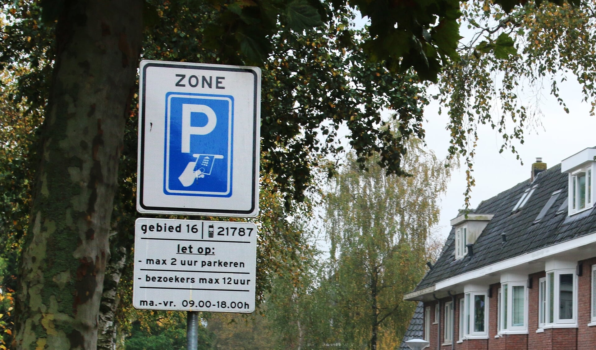Bewoners van eilandjes met gratis parkeren willen ook parkeermeters.  