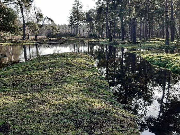 Waterlandschap in de Ginkel