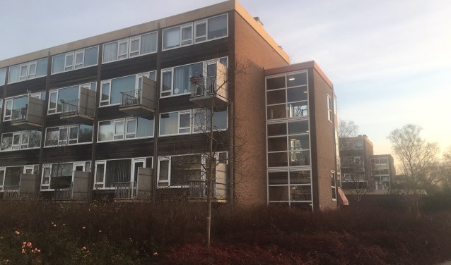 Bewoners van de Lindenlaan willen renovatie van hun woningen in plaats van sloop en nieuwbouw