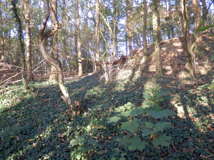 Droogdal in steilrand