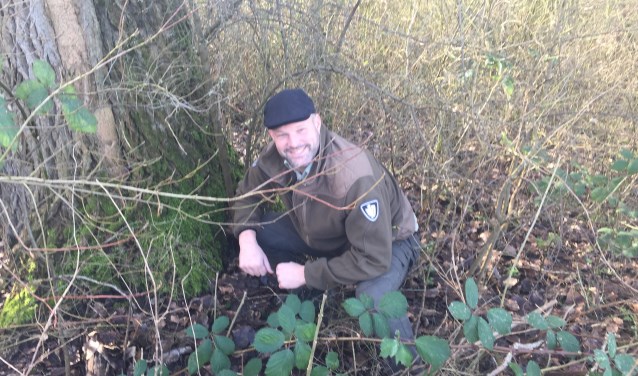 Alles heeft een functie, ook het mos op een 'oude' boom.