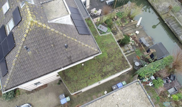 Groen is gras, onder mijne voeten…