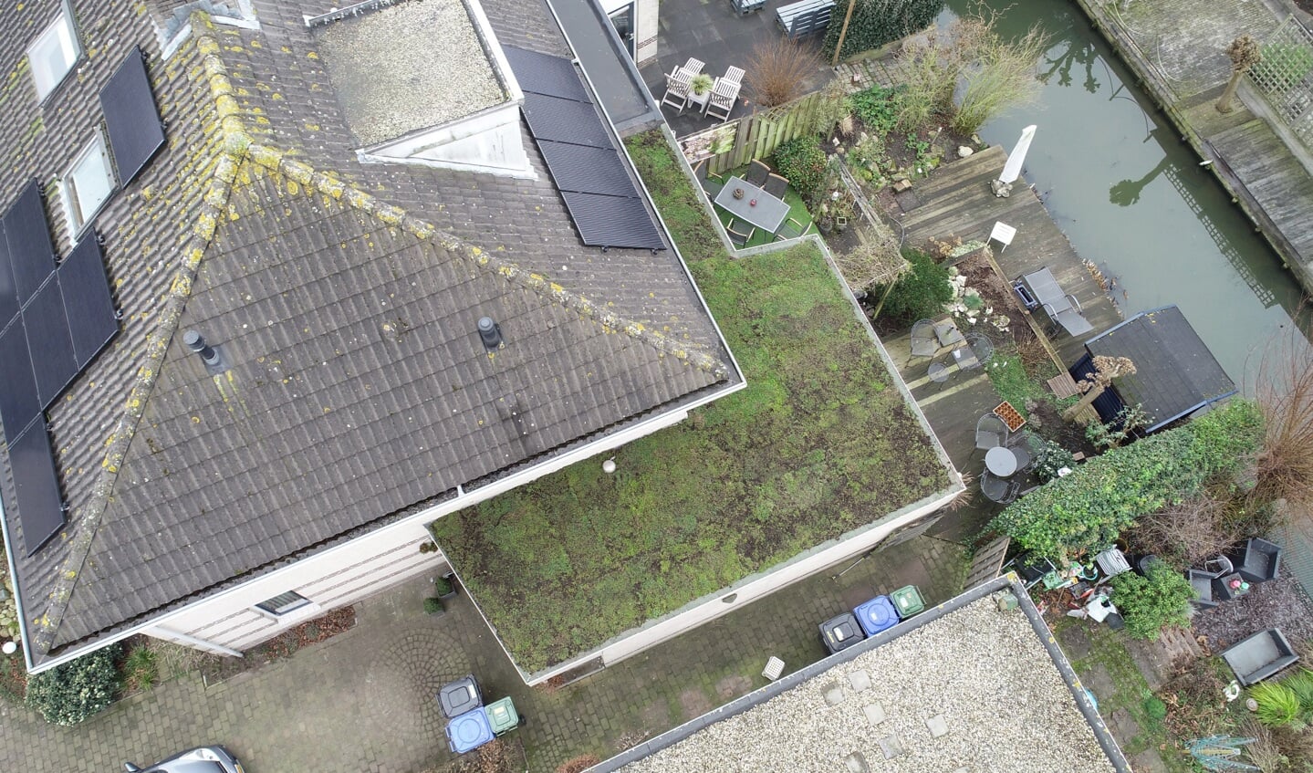 Groen is gras, onder mijne voeten…