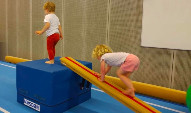 Trainer gezocht