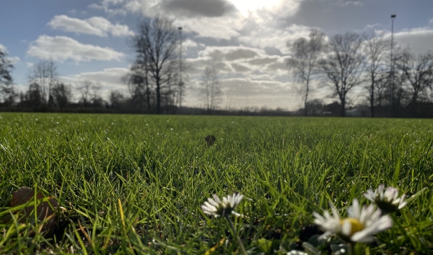 Beoogde locatie van het ecodorp in De Glind.