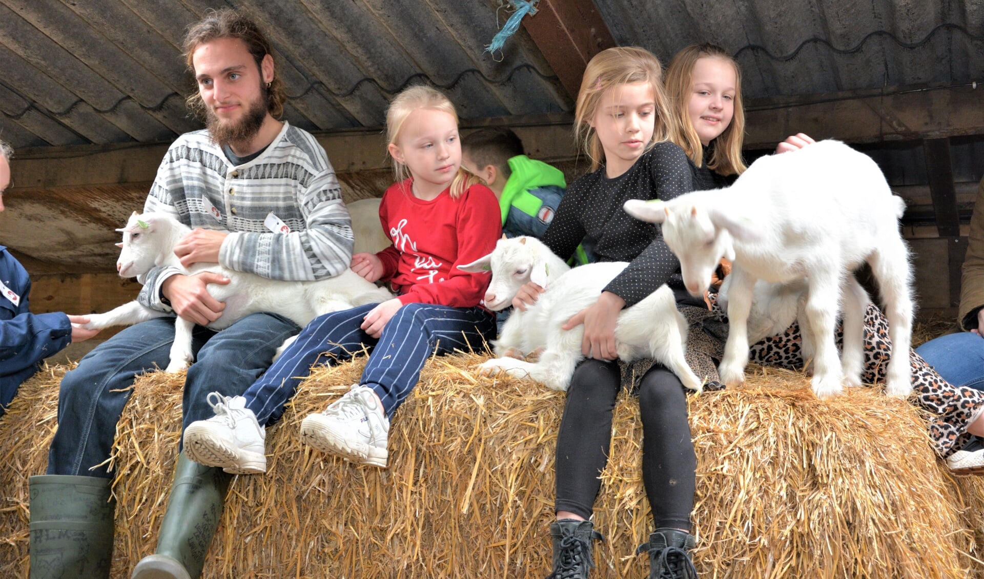 De lammetjeskijkdag bij geitenboerderij en kaasmakerij De Groote Stroe trok honderden belangstellenden.