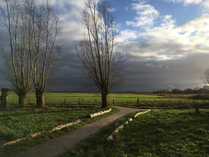 Een flinke bui boven de Eemerwaard