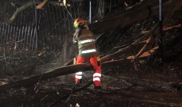 Een omgevallen boom blokkeerde lange tijd de Dorpsstraat in Doorn.