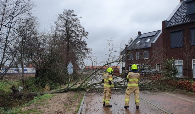Bosveen