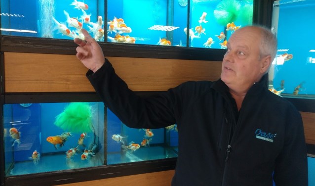 All Round Fish viert dat de verbouwing is afgerond.