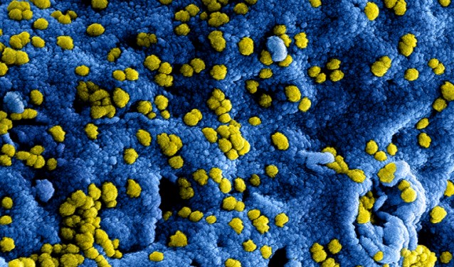 Het coronavirus houdt de gemoederen bezig.