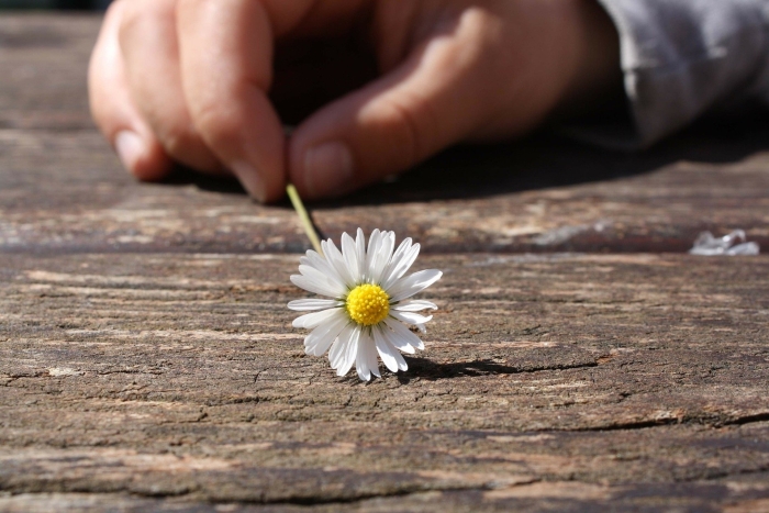 hand met bloem