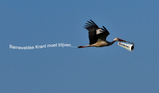 Natuurkenner Louis Fraanje spotte onlangs een unieke ooievaar.
