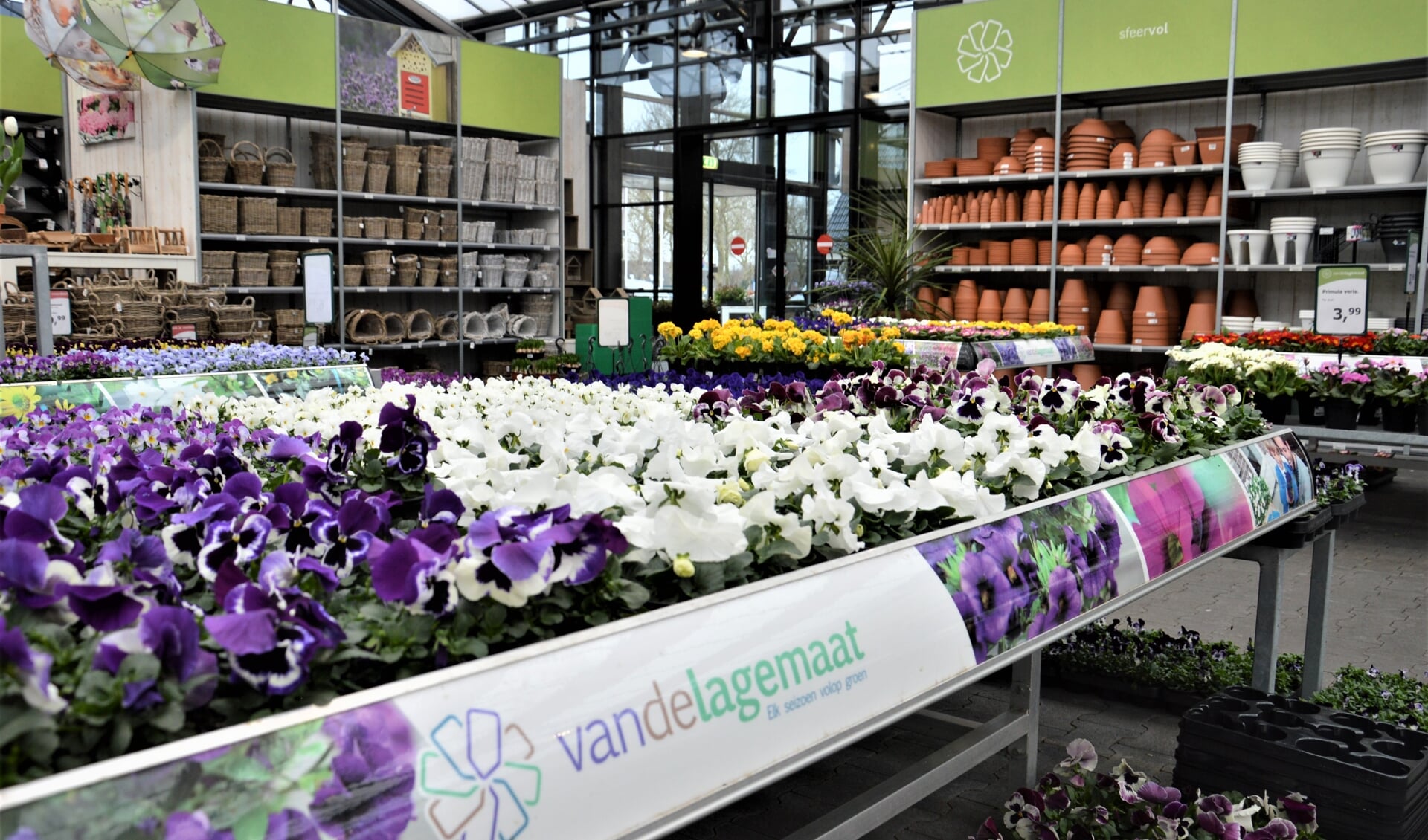 Kaal Preek Discriminerend Elk seizoen volop groen bij Tuincentrum van de Lagemaat - EdeStad.nl Nieuws  uit de regio Ede